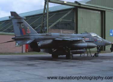 XZ115/C Sepecat Jaguar GR1A 41 Squadron