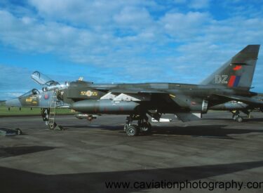 XX844/DZ Sepecat Jaguar T2A 31 Squadron
