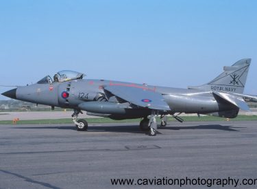 ZA175/124L BAE (H.S.A.) Sea Harrier F.R.S.1 800 Squadron