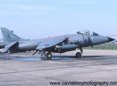 XZ492/125L BAE (H.S.A.) Sea Harrier F.R.S.1 800 Squadron