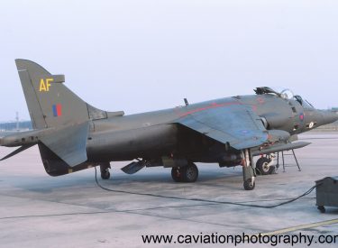 XV809/AF BAE (H.S.A.) Harrier G.R.3 3 Squadron