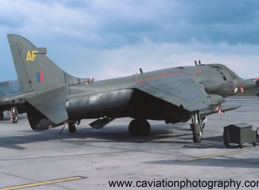 XV809/AF BAE (H.S.A.) Harrier G.R.3 3 Squadron