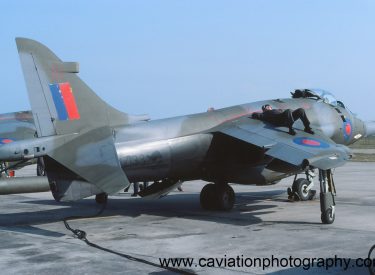 XZ133/10 BAE (H.S.A.) Harrier GR.3 1 Squadron