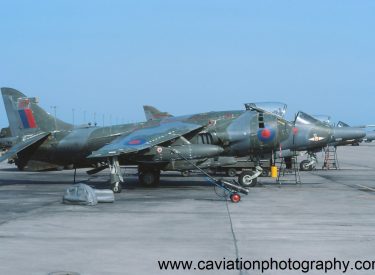 XZ991/07 BAE (H.S.A.) Harrier GR.3 1 Squadron