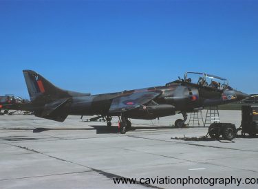 XW270/V BAE (H.S.A.) Harrier T.2 233 O.C.U.