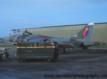 XZ146/B BAE (H.S.A.) Harrier T.4 R.A.E.