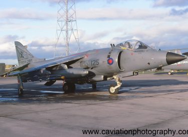 XZ492/125L BAE (H.S.A.) Sea Harrier F.R.S.1 800 Squadron
