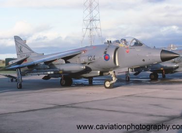 ZA175/124L BAE (H.S.A.) Sea Harrier F.R.S.1 800 Squadron