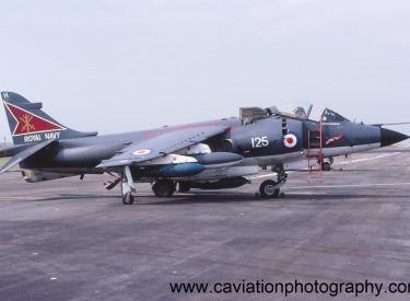 XZ459/125H BAE (H.S.A.) Sea Harrier F.R.S.1 800 Squadron