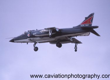 XZ492/123H BAE (H.S.A.) Sea Harrier F.R.S.1 800 Squadron