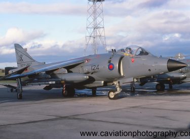 ZA175/124L BAE (H.S.A.) Sea Harrier F.R.S.1 800 Squadron