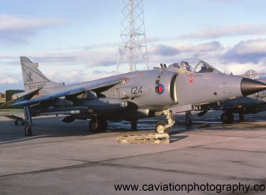 ZA175/124L BAE (H.S.A.) Sea Harrier F.R.S.1 800 Squadron
