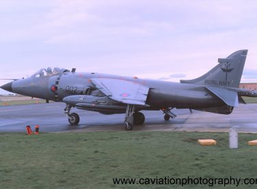 XZ499/002N BAE (H.S.A.) Sea Harrier F.R.S.1 801 Squadron